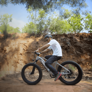 Balade en FAT BIKE Électrique en Seine-et-Marne 77