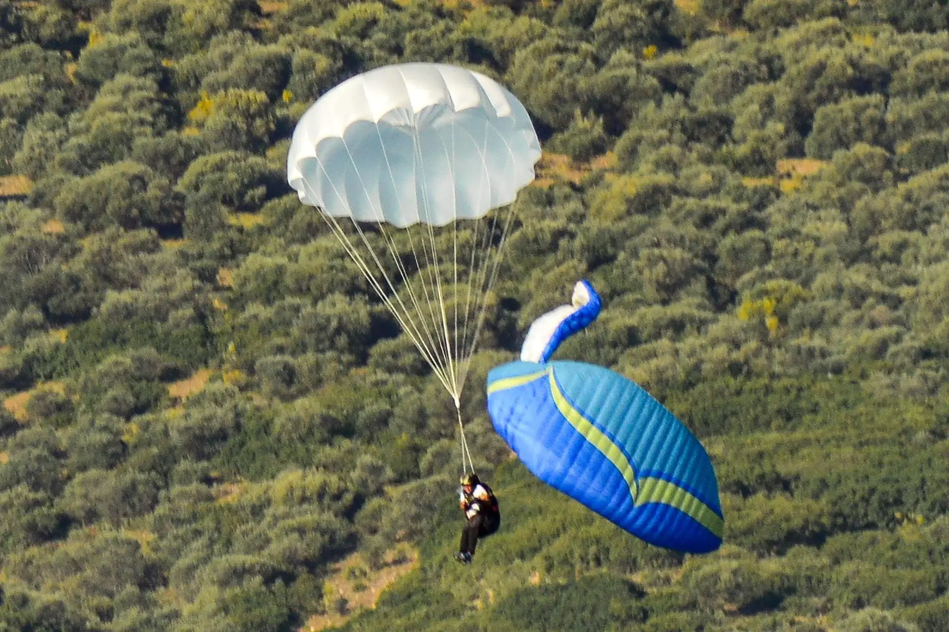 Parachute de secours Apco Mayday-02